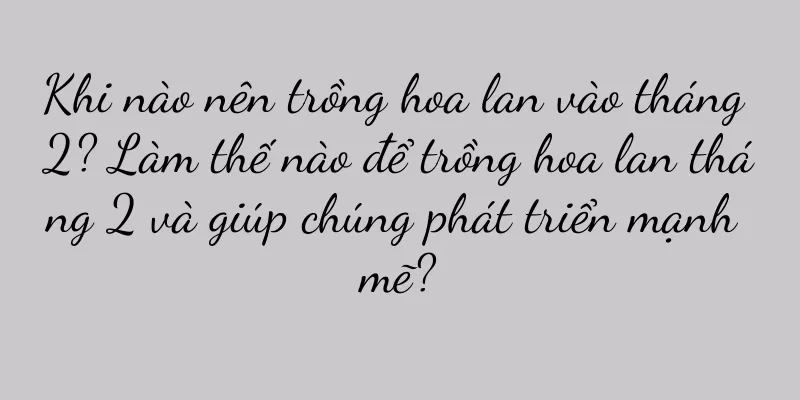 Khi nào nên trồng hoa lan vào tháng 2? Làm thế nào để trồng hoa lan tháng 2 và giúp chúng phát triển mạnh mẽ?