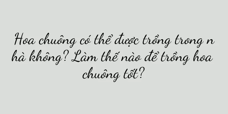 Hoa chuông có thể được trồng trong nhà không? Làm thế nào để trồng hoa chuông tốt?
