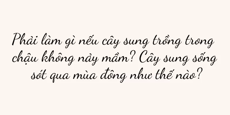 Phải làm gì nếu cây sung trồng trong chậu không nảy mầm? Cây sung sống sót qua mùa đông như thế nào?