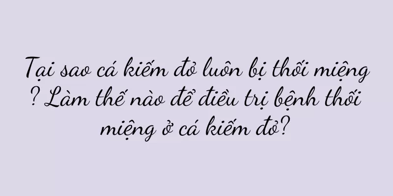 Tại sao cá kiếm đỏ luôn bị thối miệng? Làm thế nào để điều trị bệnh thối miệng ở cá kiếm đỏ?