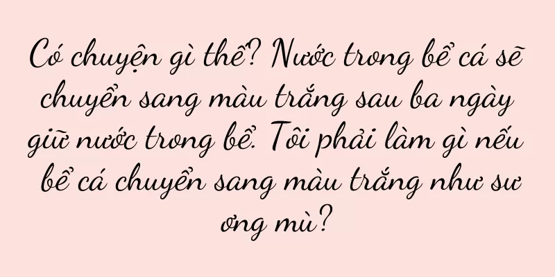 Có chuyện gì thế? Nước trong bể cá sẽ chuyển sang màu trắng sau ba ngày giữ nước trong bể. Tôi phải làm gì nếu bể cá chuyển sang màu trắng như sương mù?
