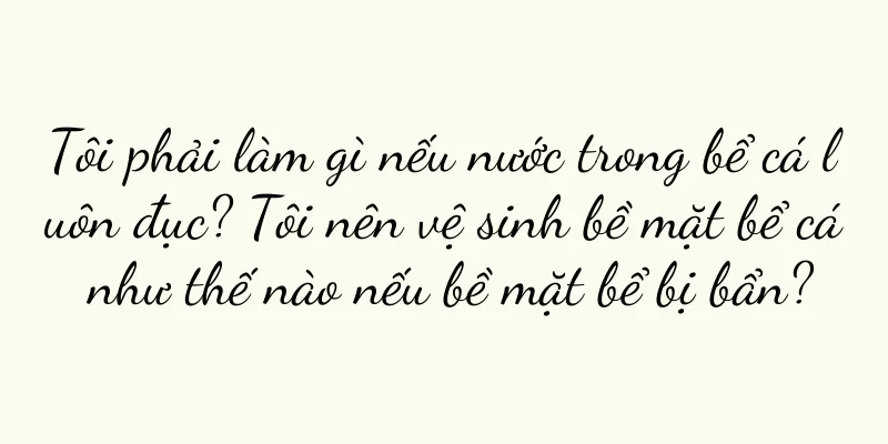 Tôi phải làm gì nếu nước trong bể cá luôn đục? Tôi nên vệ sinh bề mặt bể cá như thế nào nếu bề mặt bể bị bẩn?