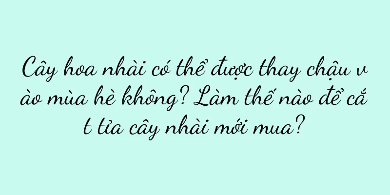 Cây hoa nhài có thể được thay chậu vào mùa hè không? Làm thế nào để cắt tỉa cây nhài mới mua?