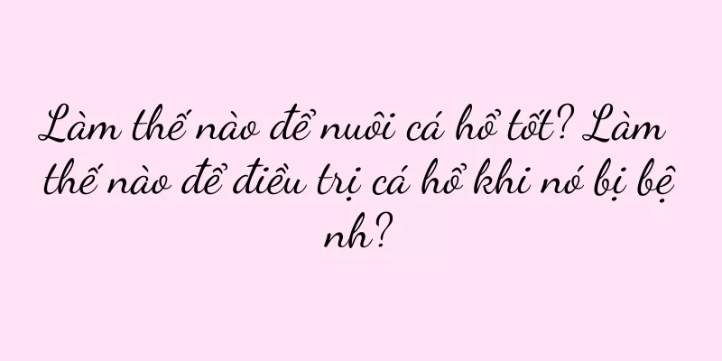 Làm thế nào để nuôi cá hổ tốt? Làm thế nào để điều trị cá hổ khi nó bị bệnh?