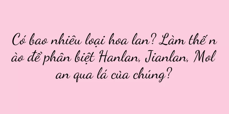 Có bao nhiêu loại hoa lan? Làm thế nào để phân biệt Hanlan, Jianlan, Molan qua lá của chúng?