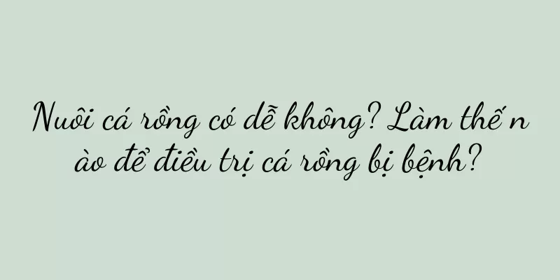 Nuôi cá rồng có dễ không? Làm thế nào để điều trị cá rồng bị bệnh?