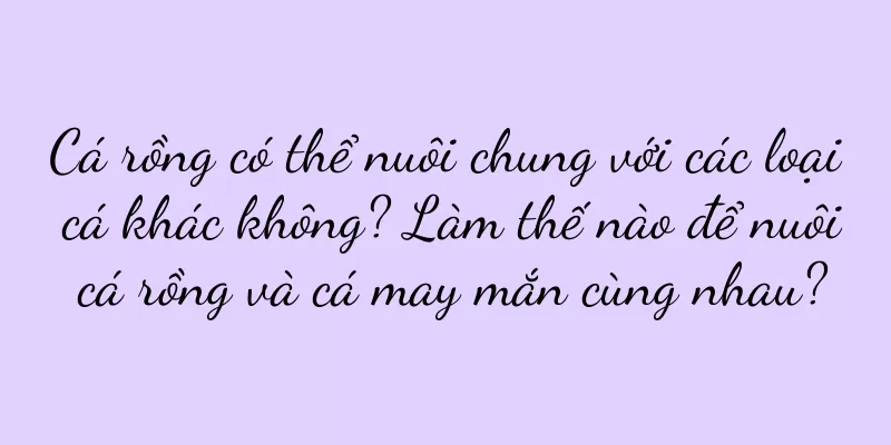 Cá rồng có thể nuôi chung với các loại cá khác không? Làm thế nào để nuôi cá rồng và cá may mắn cùng nhau?