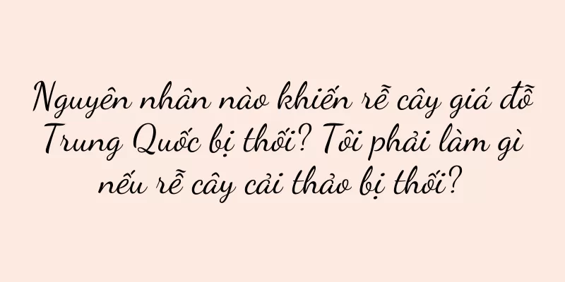 Nguyên nhân nào khiến rễ cây giá đỗ Trung Quốc bị thối? Tôi phải làm gì nếu rễ cây cải thảo bị thối?