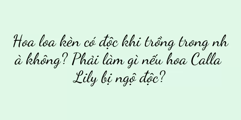 Hoa loa kèn có độc khi trồng trong nhà không? Phải làm gì nếu hoa Calla Lily bị ngộ độc?