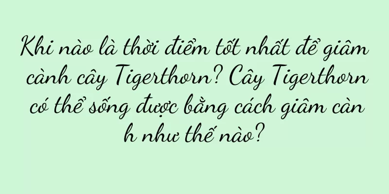 Khi nào là thời điểm tốt nhất để giâm cành cây Tigerthorn? Cây Tigerthorn có thể sống được bằng cách giâm cành như thế nào?