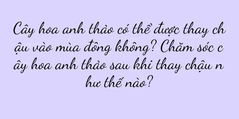 Cây hoa anh thảo có thể được thay chậu vào mùa đông không? Chăm sóc cây hoa anh thảo sau khi thay chậu như thế nào?