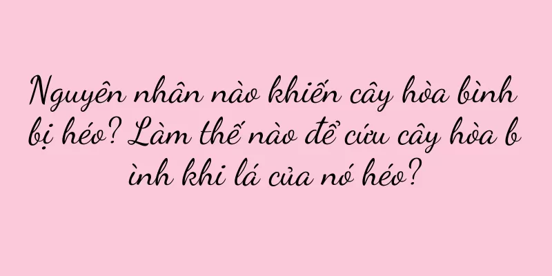 Nguyên nhân nào khiến cây hòa bình bị héo? Làm thế nào để cứu cây hòa bình khi lá của nó héo?