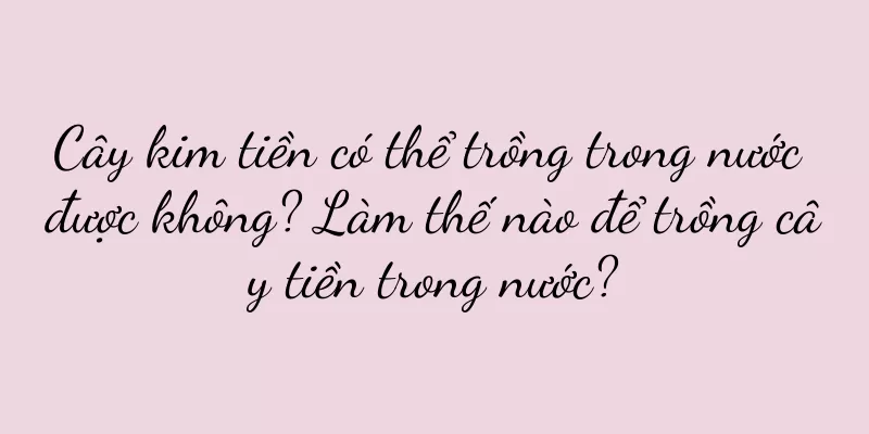 Cây kim tiền có thể trồng trong nước được không? Làm thế nào để trồng cây tiền trong nước?