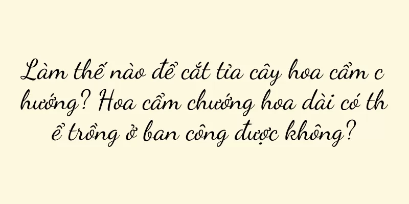 Làm thế nào để cắt tỉa cây hoa cẩm chướng? Hoa cẩm chướng hoa dài có thể trồng ở ban công được không?