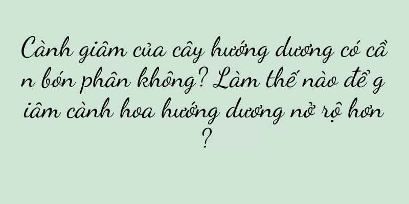 Cành giâm của cây hướng dương có cần bón phân không? Làm thế nào để giâm cành hoa hướng dương nở rộ hơn?