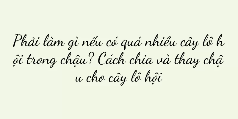 Phải làm gì nếu có quá nhiều cây lô hội trong chậu? Cách chia và thay chậu cho cây lô hội
