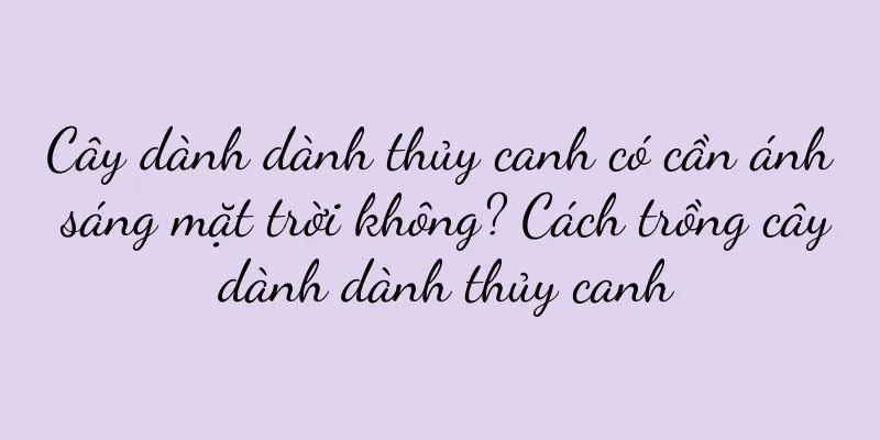 Cây dành dành thủy canh có cần ánh sáng mặt trời không? Cách trồng cây dành dành thủy canh