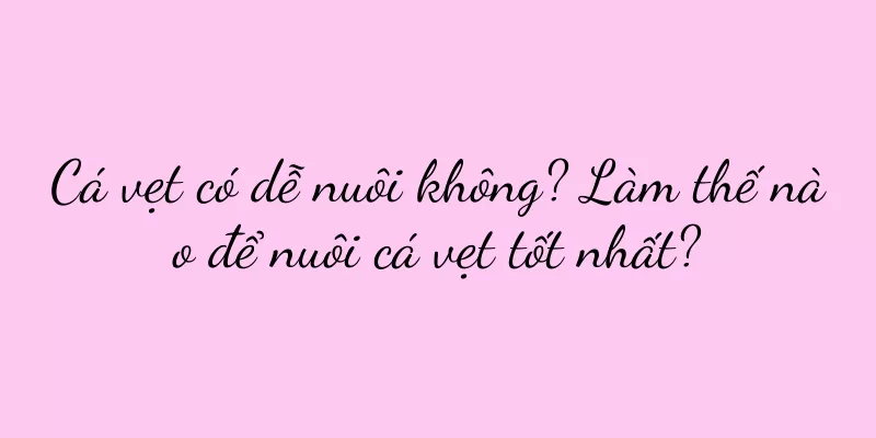 Cá vẹt có dễ nuôi không? Làm thế nào để nuôi cá vẹt tốt nhất?