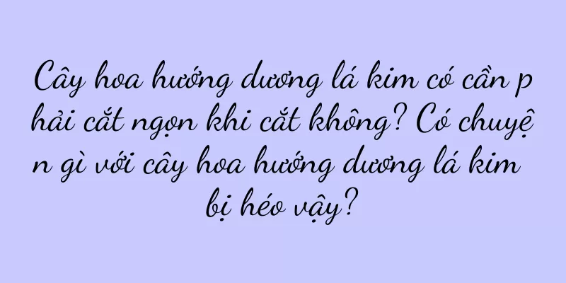 Cây hoa hướng dương lá kim có cần phải cắt ngọn khi cắt không? Có chuyện gì với cây hoa hướng dương lá kim bị héo vậy?