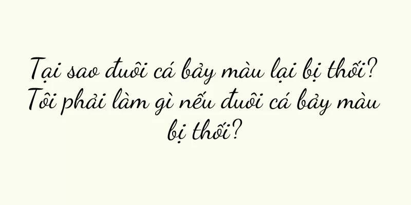 Tại sao đuôi cá bảy màu lại bị thối? Tôi phải làm gì nếu đuôi cá bảy màu bị thối?