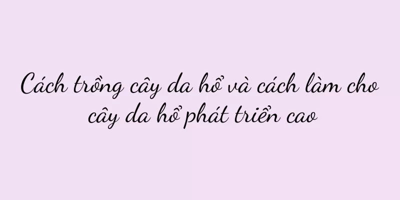 Cách trồng cây da hổ và cách làm cho cây da hổ phát triển cao
