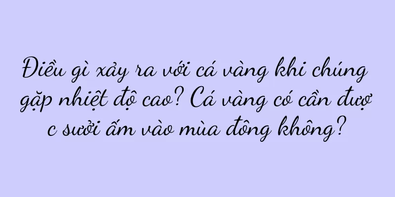 Điều gì xảy ra với cá vàng khi chúng gặp nhiệt độ cao? Cá vàng có cần được sưởi ấm vào mùa đông không?