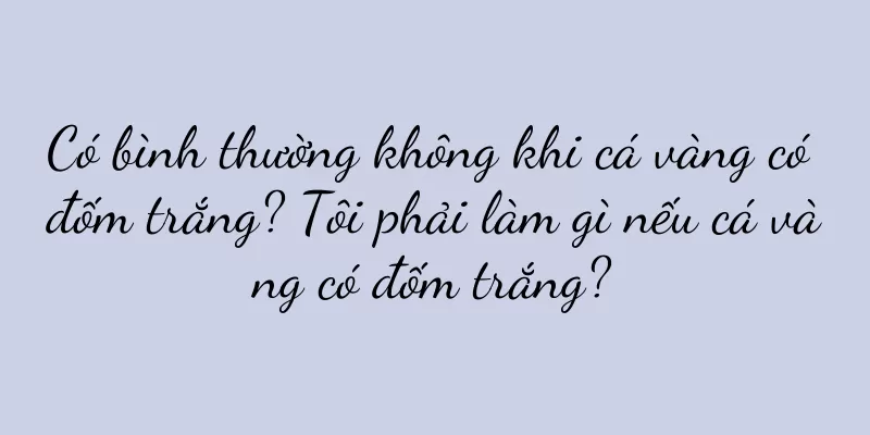 Có bình thường không khi cá vàng có đốm trắng? Tôi phải làm gì nếu cá vàng có đốm trắng?