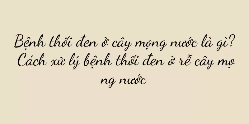 Bệnh thối đen ở cây mọng nước là gì? Cách xử lý bệnh thối đen ở rễ cây mọng nước