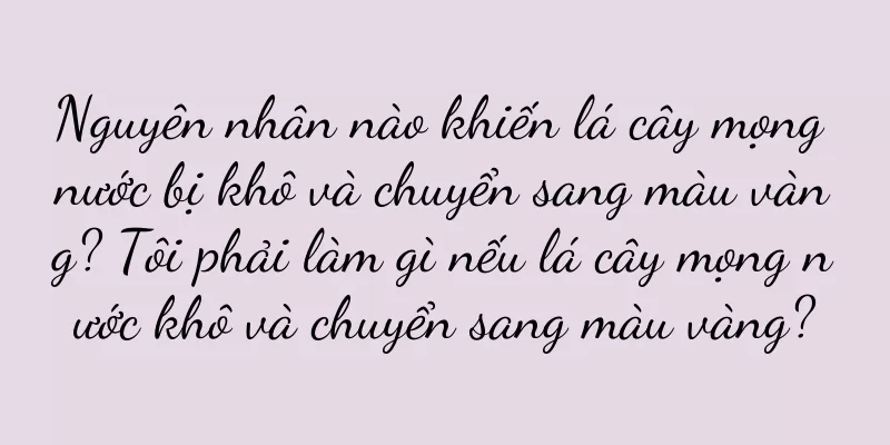 Nguyên nhân nào khiến lá cây mọng nước bị khô và chuyển sang màu vàng? Tôi phải làm gì nếu lá cây mọng nước khô và chuyển sang màu vàng?