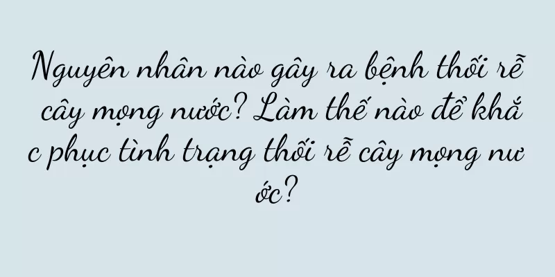 Nguyên nhân nào gây ra bệnh thối rễ cây mọng nước? Làm thế nào để khắc phục tình trạng thối rễ cây mọng nước?