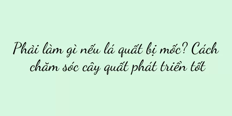 Phải làm gì nếu lá quất bị mốc? Cách chăm sóc cây quất phát triển tốt