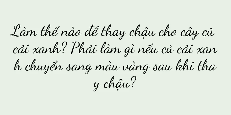 Làm thế nào để thay chậu cho cây củ cải xanh? Phải làm gì nếu củ cải xanh chuyển sang màu vàng sau khi thay chậu?