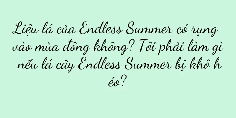 Liệu lá của Endless Summer có rụng vào mùa đông không? Tôi phải làm gì nếu lá cây Endless Summer bị khô héo?