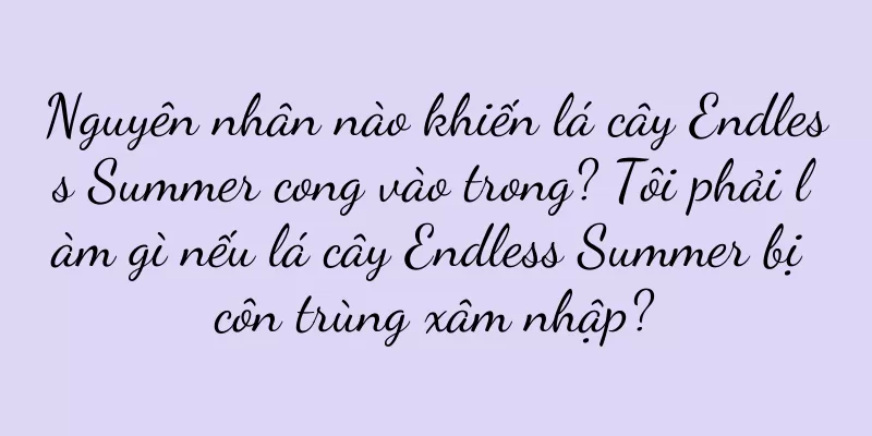 Nguyên nhân nào khiến lá cây Endless Summer cong vào trong? Tôi phải làm gì nếu lá cây Endless Summer bị côn trùng xâm nhập?