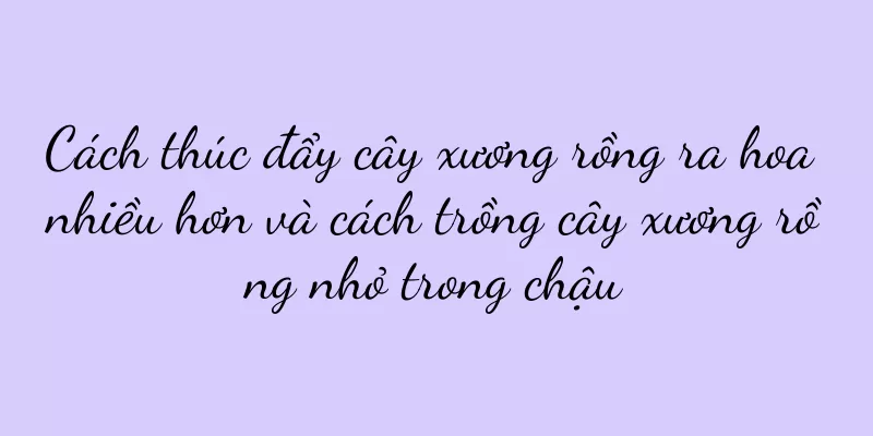 Cách thúc đẩy cây xương rồng ra hoa nhiều hơn và cách trồng cây xương rồng nhỏ trong chậu