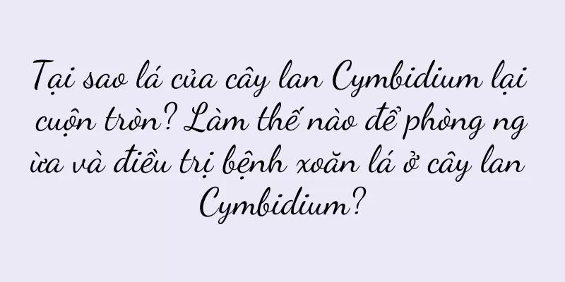 Tại sao lá của cây lan Cymbidium lại cuộn tròn? Làm thế nào để phòng ngừa và điều trị bệnh xoăn lá ở cây lan Cymbidium?