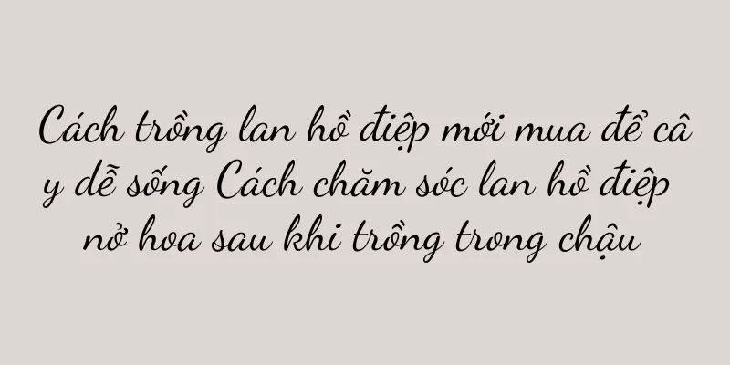 Cách trồng lan hồ điệp mới mua để cây dễ sống Cách chăm sóc lan hồ điệp nở hoa sau khi trồng trong chậu
