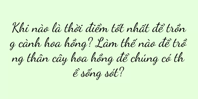Khi nào là thời điểm tốt nhất để trồng cành hoa hồng? Làm thế nào để trồng thân cây hoa hồng để chúng có thể sống sót?