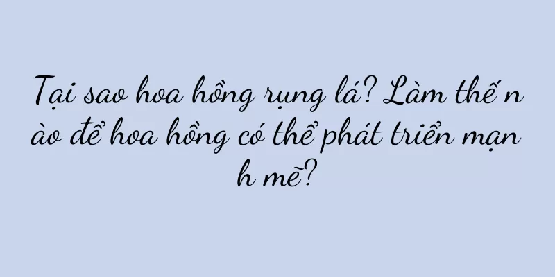 Tại sao hoa hồng rụng lá? Làm thế nào để hoa hồng có thể phát triển mạnh mẽ?
