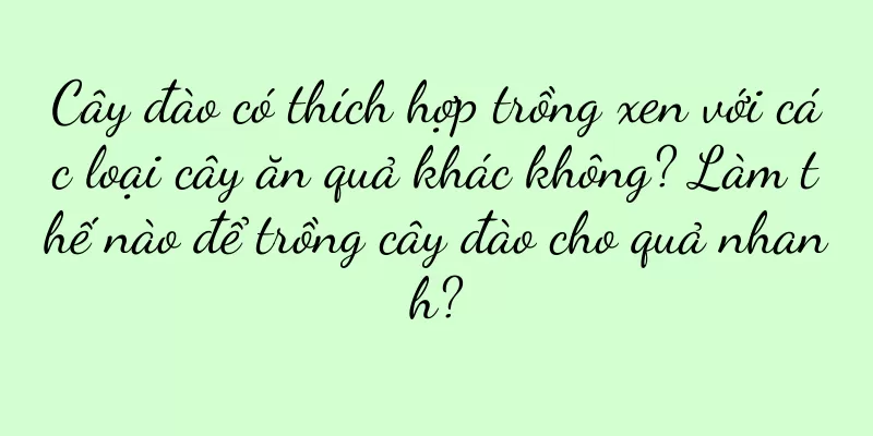 Cây đào có thích hợp trồng xen với các loại cây ăn quả khác không? Làm thế nào để trồng cây đào cho quả nhanh?