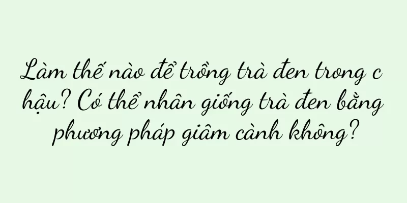 Làm thế nào để trồng trà đen trong chậu? Có thể nhân giống trà đen bằng phương pháp giâm cành không?