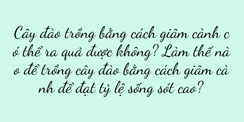Cây đào trồng bằng cách giâm cành có thể ra quả được không? Làm thế nào để trồng cây đào bằng cách giâm cành để đạt tỷ lệ sống sót cao?