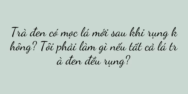 Trà đen có mọc lá mới sau khi rụng không? Tôi phải làm gì nếu tất cả lá trà đen đều rụng?