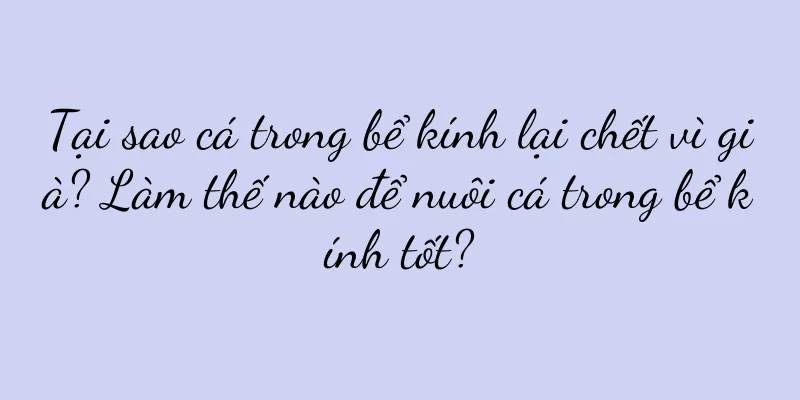 Tại sao cá trong bể kính lại chết vì già? Làm thế nào để nuôi cá trong bể kính tốt?