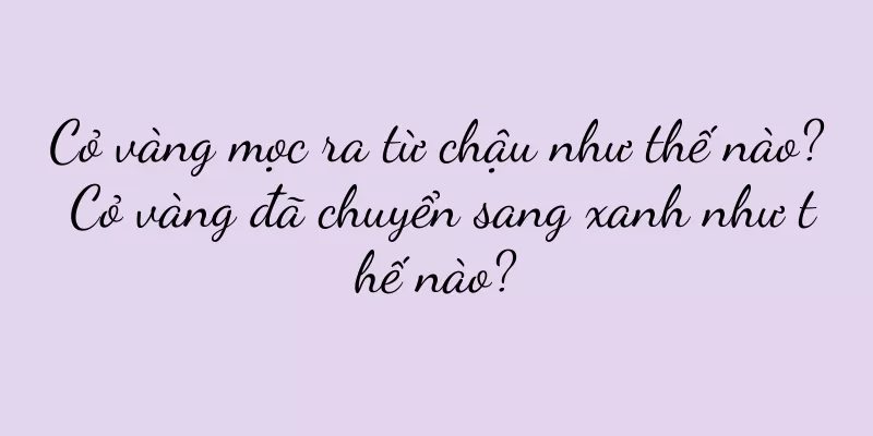 Cỏ vàng mọc ra từ chậu như thế nào? Cỏ vàng đã chuyển sang xanh như thế nào?