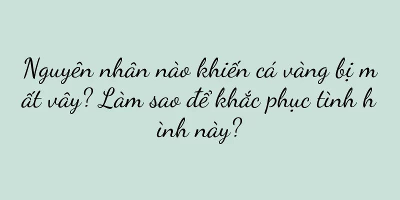 Nguyên nhân nào khiến cá vàng bị mất vây? Làm sao để khắc phục tình hình này?