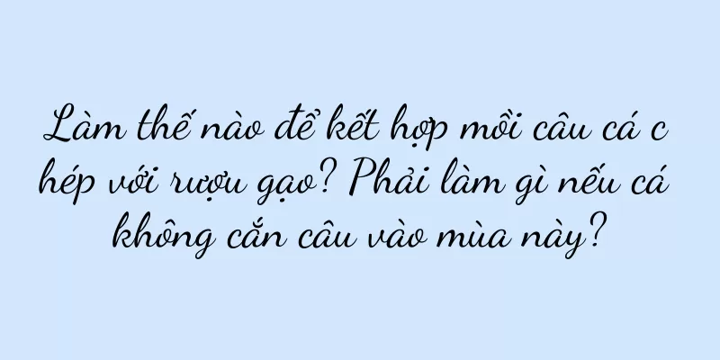 Làm thế nào để kết hợp mồi câu cá chép với rượu gạo? Phải làm gì nếu cá không cắn câu vào mùa này?