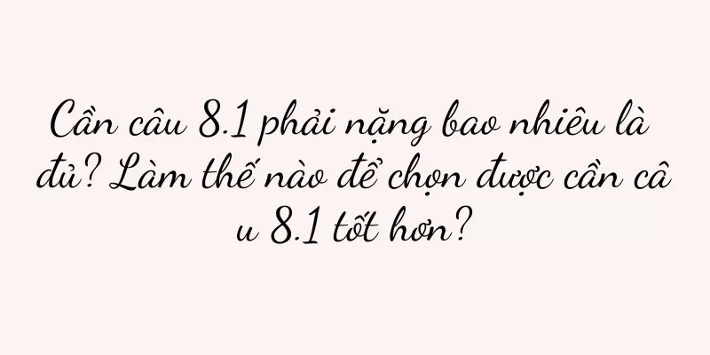 Cần câu 8.1 phải nặng bao nhiêu là đủ? Làm thế nào để chọn được cần câu 8.1 tốt hơn?