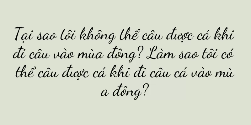 Tại sao tôi không thể câu được cá khi đi câu vào mùa đông? Làm sao tôi có thể câu được cá khi đi câu cá vào mùa đông?