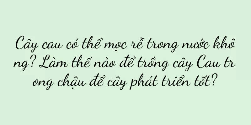 Cây cau có thể mọc rễ trong nước không? Làm thế nào để trồng cây Cau trong chậu để cây phát triển tốt?